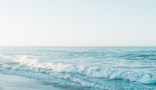 サボテンの育て方で伸びすぎる原因と正しい対処法