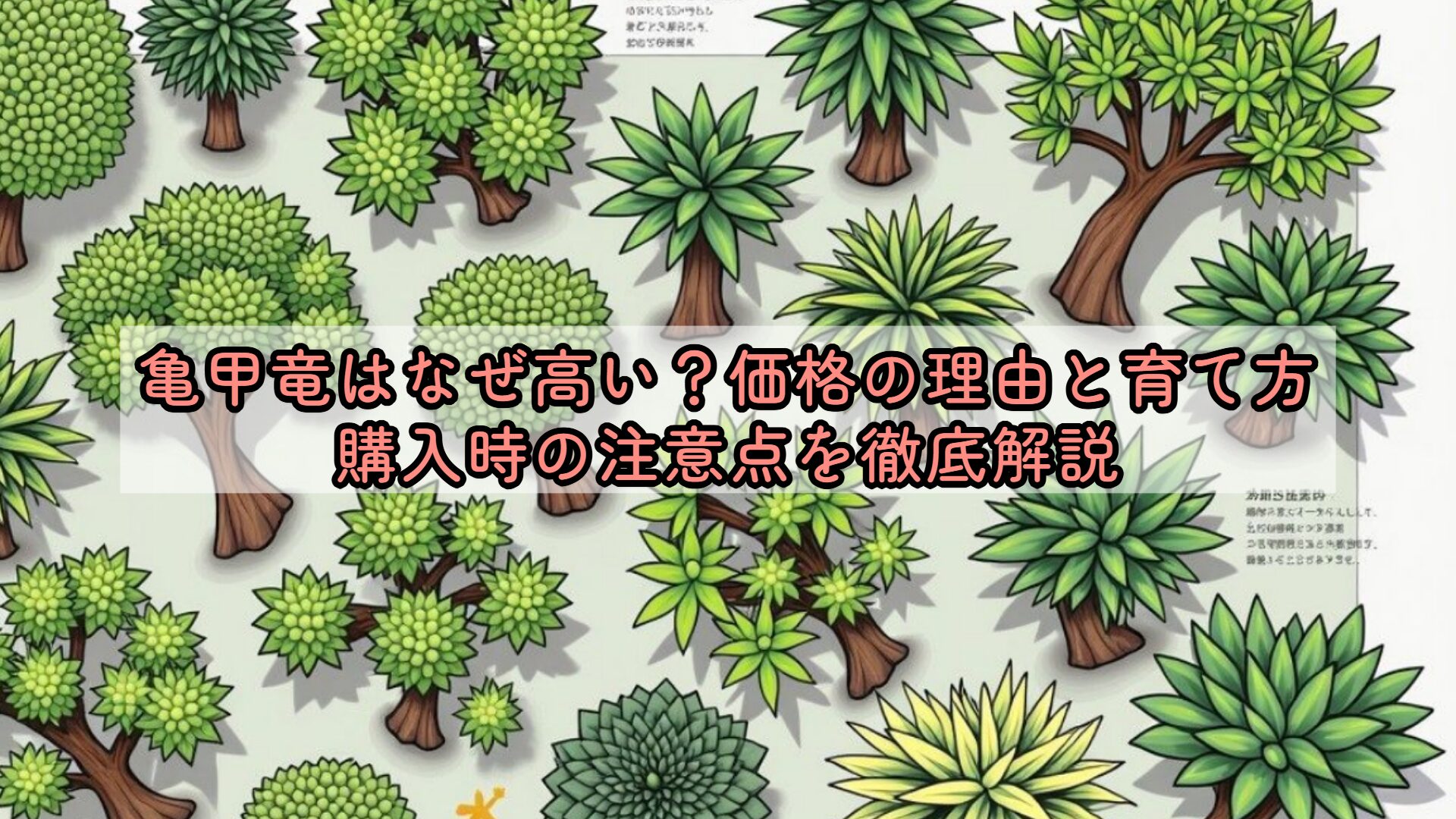 亀甲竜はなぜ高い？価格の理由と育て方・購入時の注意点を徹底解説 