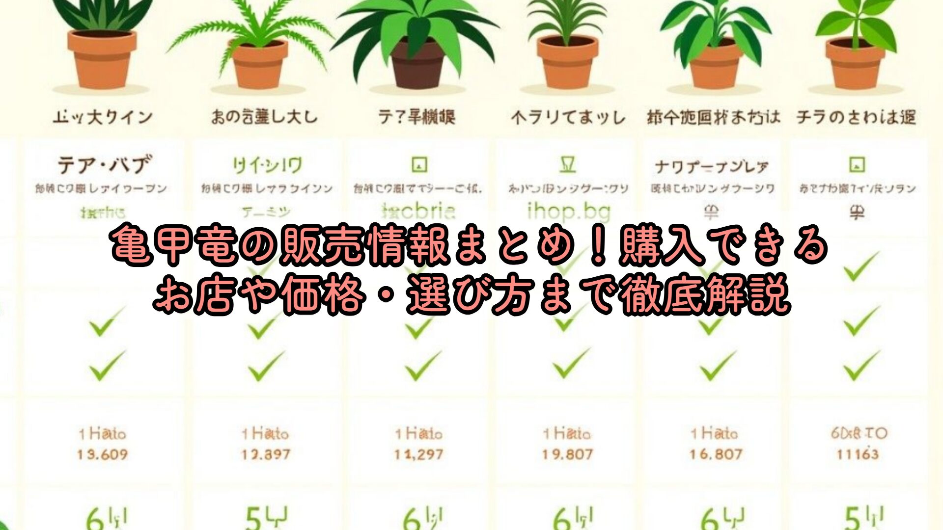 亀甲竜の販売情報まとめ！購入できるお店や価格・選び方まで徹底解説 