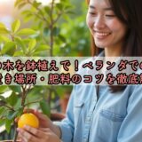 レモンの木を鉢植えで！ベランダでの育て方や置き場所・肥料のコツを徹底解説
