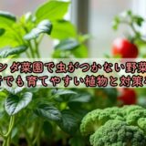 ベランダ菜園で虫がつかない野菜は？初心者でも育てやすい植物と対策を紹介
