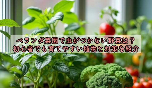 ベランダ菜園で虫がつかない野菜は？初心者でも育てやすい植物と対策を紹介