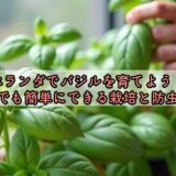 ベランダでバジルを育てよう！初心者でも簡単にできる栽培と防虫のコツ