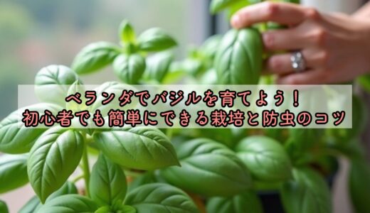 ベランダでバジルを育てよう！初心者でも簡単にできる栽培と防虫のコツ