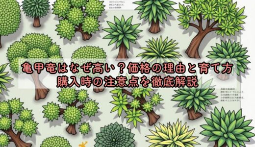 亀甲竜はなぜ高い？価格の理由と育て方・購入時の注意点を徹底解説