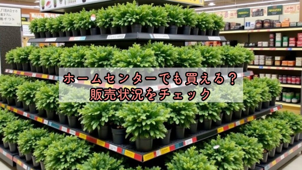 ホームセンターでも買える？販売状況をチェック