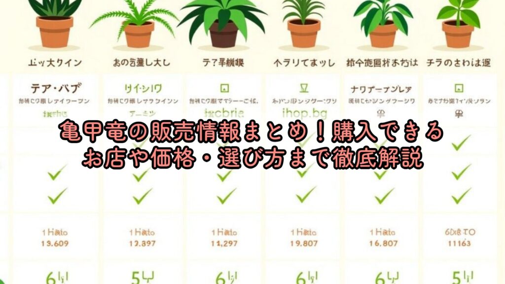 亀甲竜の販売情報まとめ！購入できるお店や価格・選び方まで徹底解説