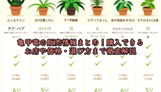 亀甲竜の販売情報まとめ！購入できるお店や価格・選び方まで徹底解説