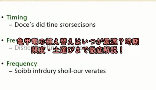 亀甲竜の植え替えはいつが最適？時期・頻度・土選びまで徹底解説！