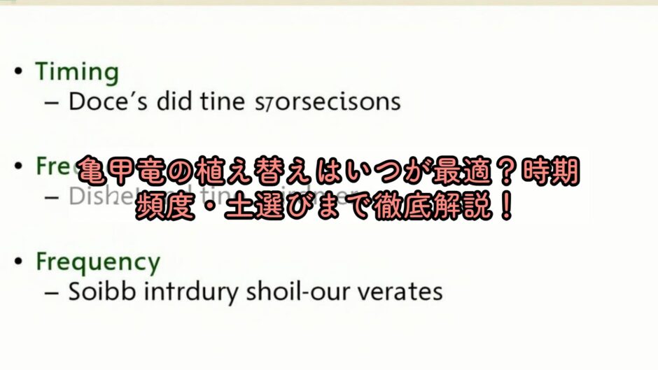 亀甲竜の植え替えはいつが最適？時期・頻度・土選びまで徹底解説！