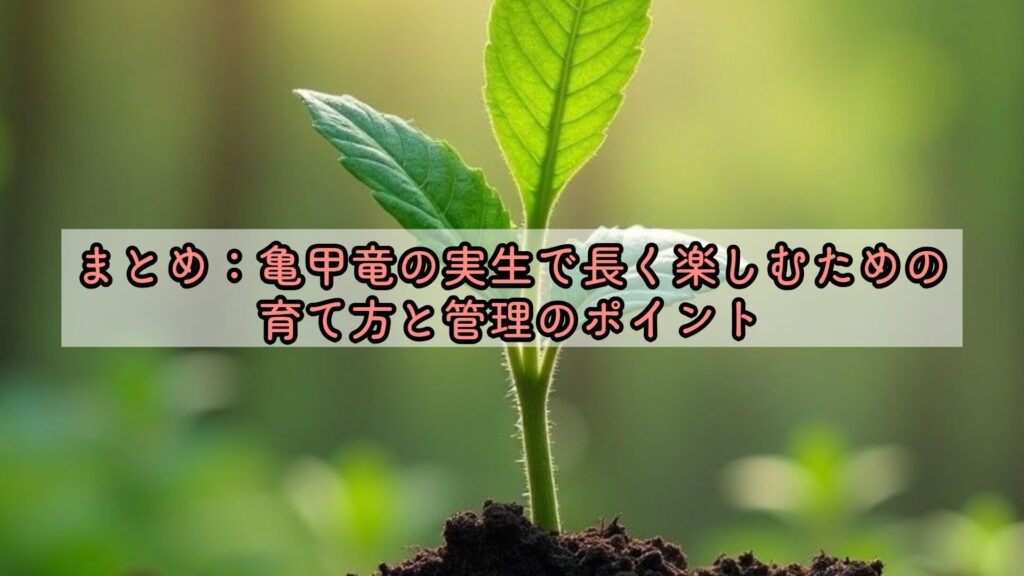 まとめ：亀甲竜の実生で長く楽しむための育て方と管理のポイント