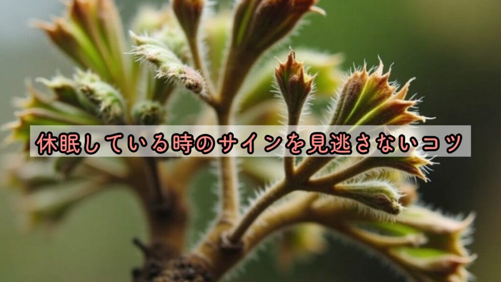 休眠している時のサインを見逃さないコツ