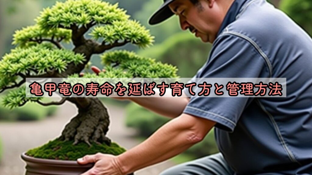 亀甲竜の寿命を延ばす育て方と管理方法