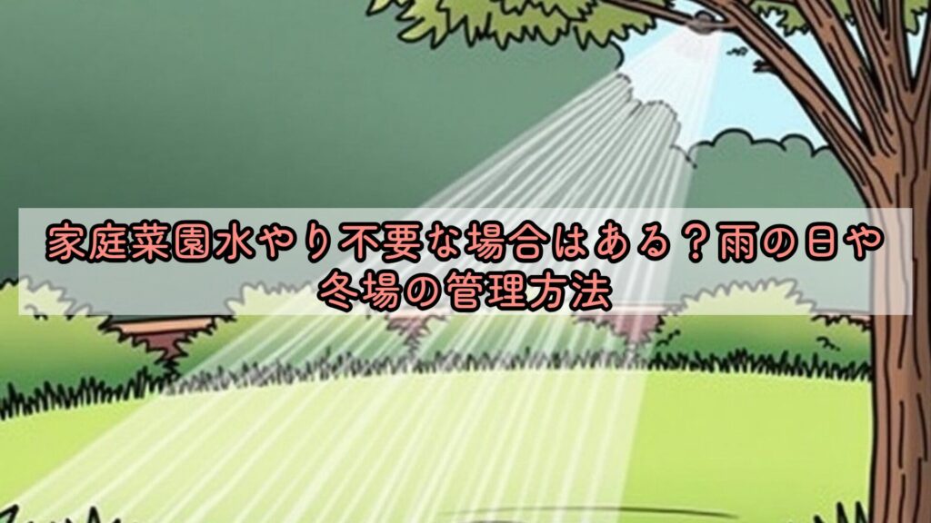 家庭菜園水やり不要な場合はある？雨の日や冬場の管理方法