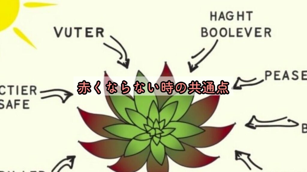 赤くならない時の共通点