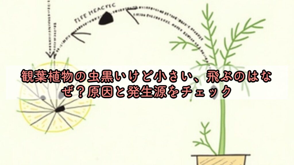 観葉植物の虫黒いけど小さい、飛ぶのはなぜ？原因と発生源をチェック