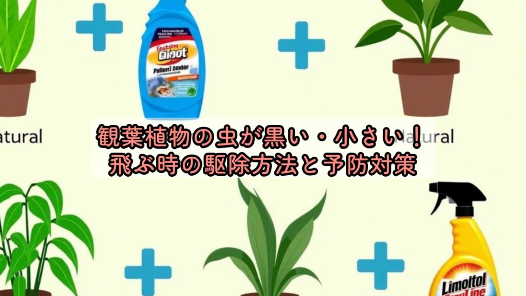 観葉植物の虫が黒い・小さい！飛ぶ時の駆除方法と予防対策