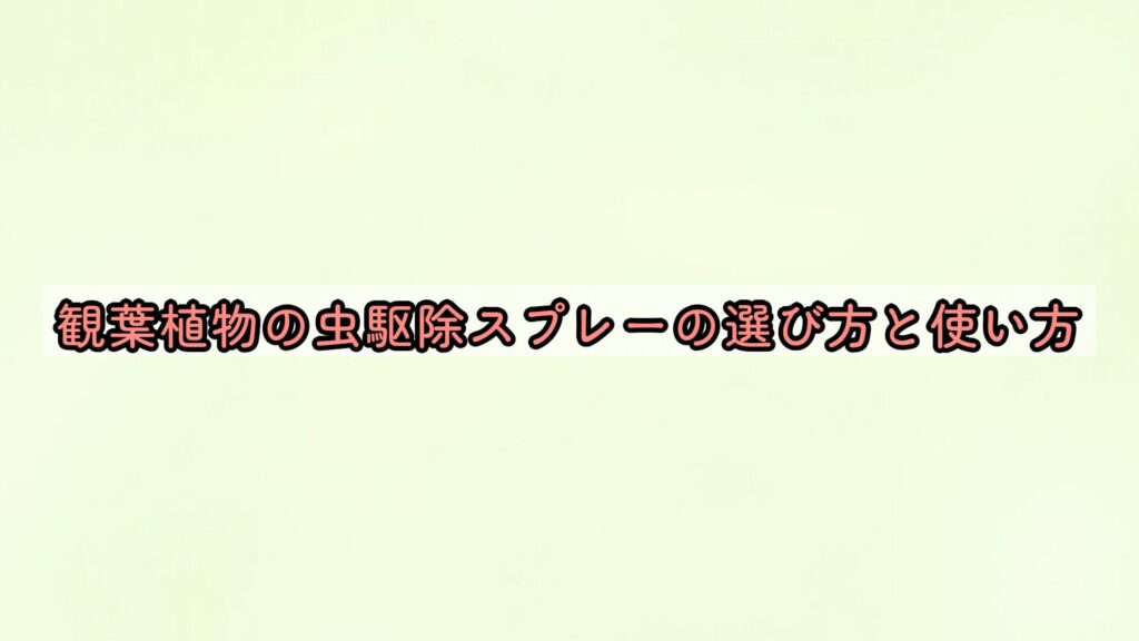 観葉植物の虫駆除スプレーの選び方と使い方