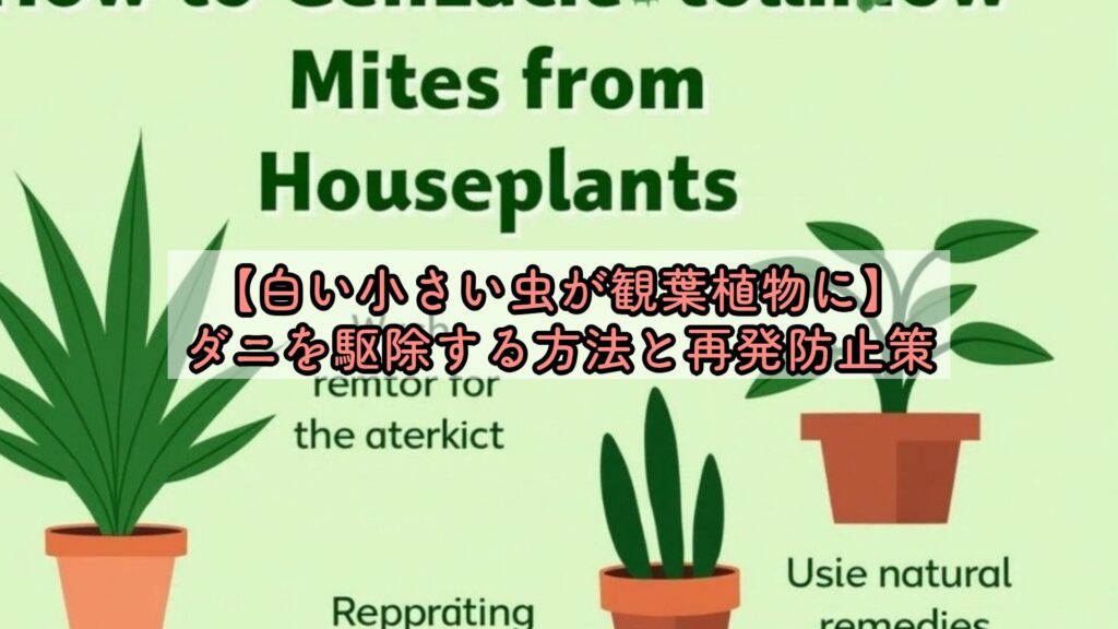 【白い小さい虫が観葉植物に】ダニを駆除する方法と再発防止策
