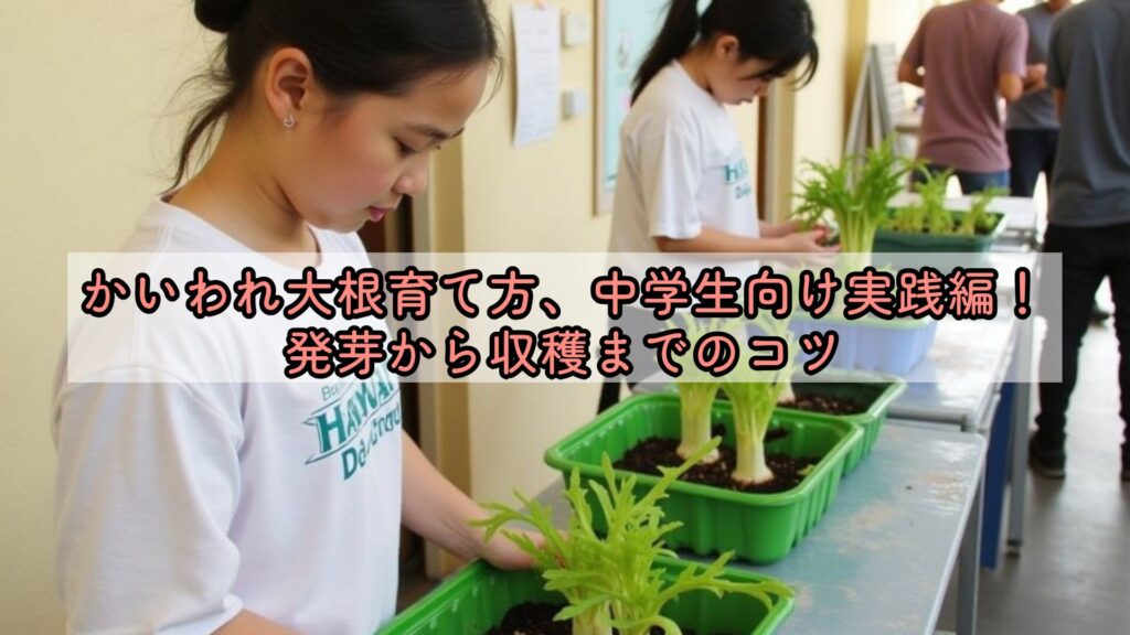 かいわれ大根育て方、中学生向け実践編！発芽から収穫までのコツ