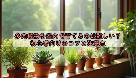 多肉植物を室内で育てるのは難しい？初心者向けのコツと注意点