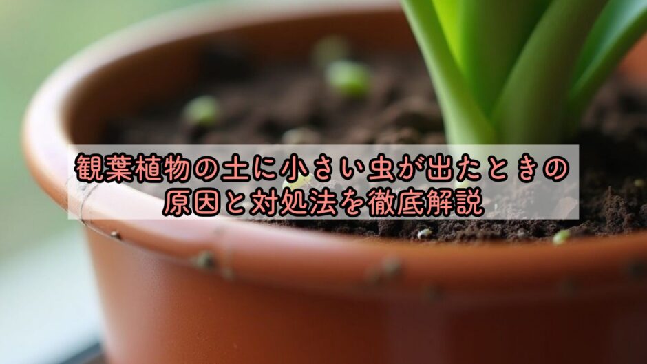 観葉植物の土に小さい虫が出たときの原因と対処法を徹底解説