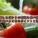 消毒したばかりの野菜を食べた？安全に食べるためのポイントと注意点