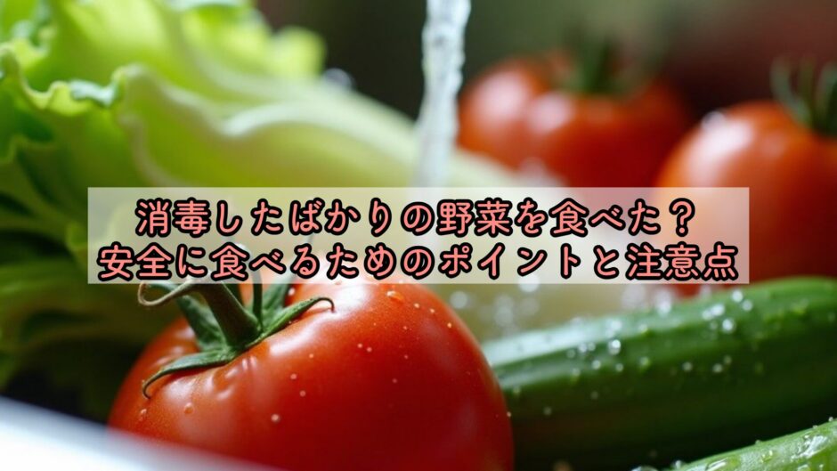 消毒したばかりの野菜を食べた？安全に食べるためのポイントと注意点