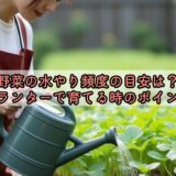 野菜の水やり頻度の目安は？プランターで育てる時のポイント