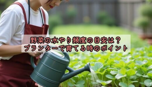 野菜の水やり頻度の目安は？プランターで育てる時のポイント