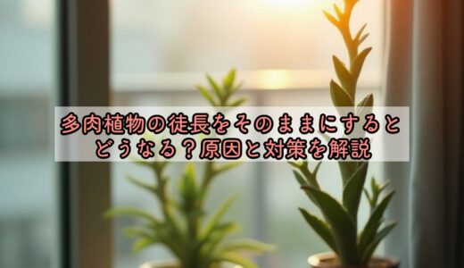 多肉植物の徒長をそのままにするとどうなる？原因と対策を解説