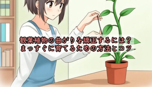 観葉植物の曲がりを矯正するには？まっすぐに育てるための方法とコツ