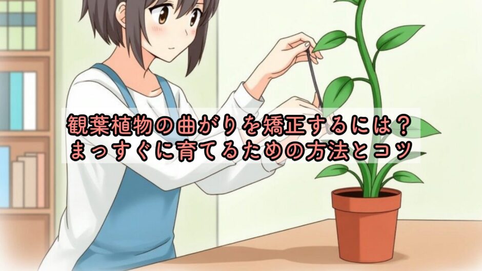 観葉植物の曲がりを矯正するには？まっすぐに育てるための方法とコツ