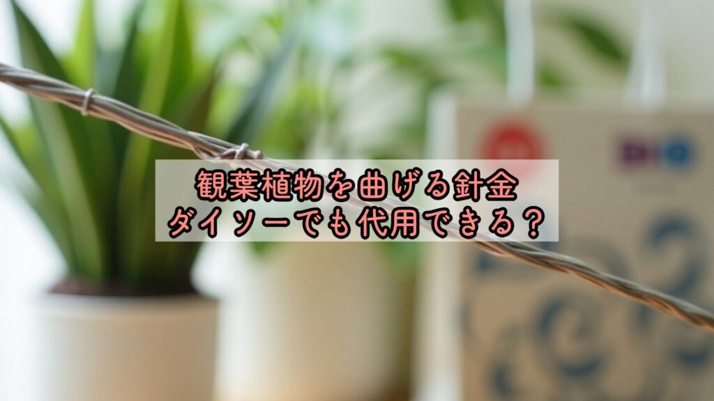 観葉植物を曲げる針金、ダイソーでも代用できる？