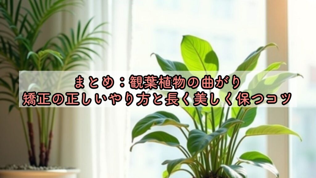 まとめ：観葉植物の曲がり矯正の正しいやり方と長く美しく保つコツ