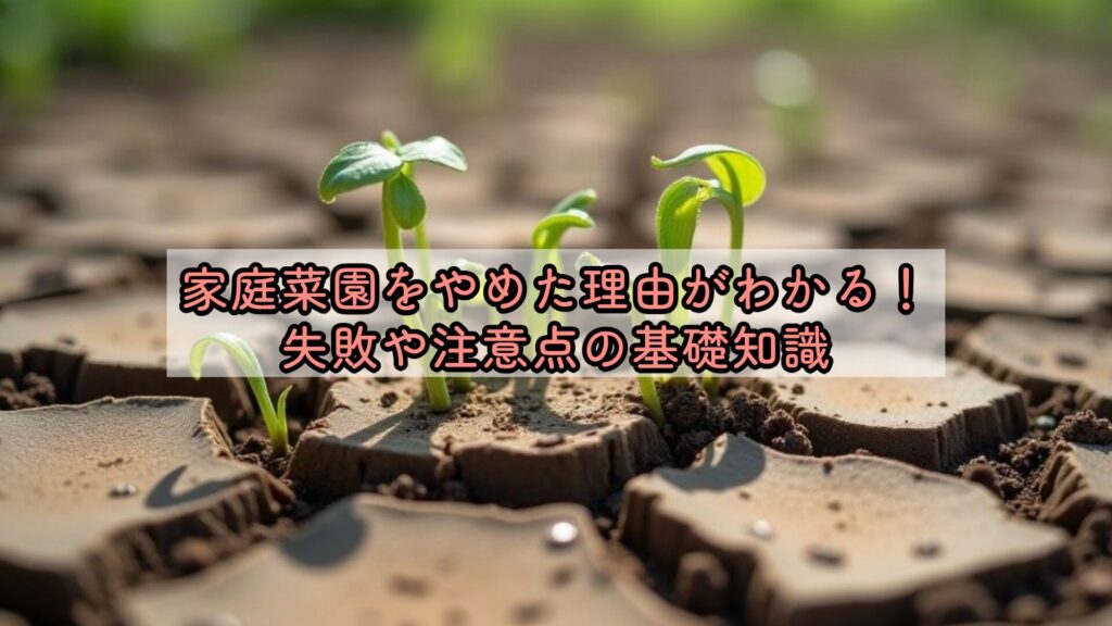 家庭菜園をやめた理由がわかる!失敗や注意点の基礎知識