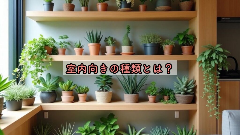 室内向きの種類とは?
