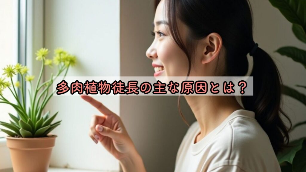 多肉植物徒長の主な原因とは?