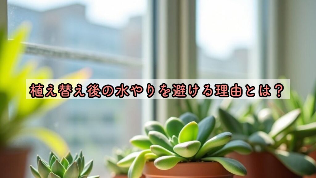 植え替え後の水やりを避ける理由とは?