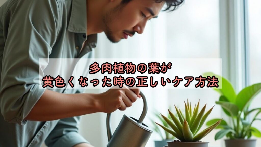 多肉植物の葉が黄色くなった時の正しいケア方法