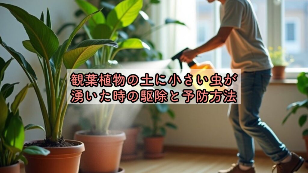観葉植物の土に小さい虫が湧いた時の駆除と予防方法