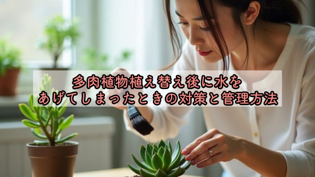 多肉植物植え替え後に水をあげてしまったときの対策と管理方法