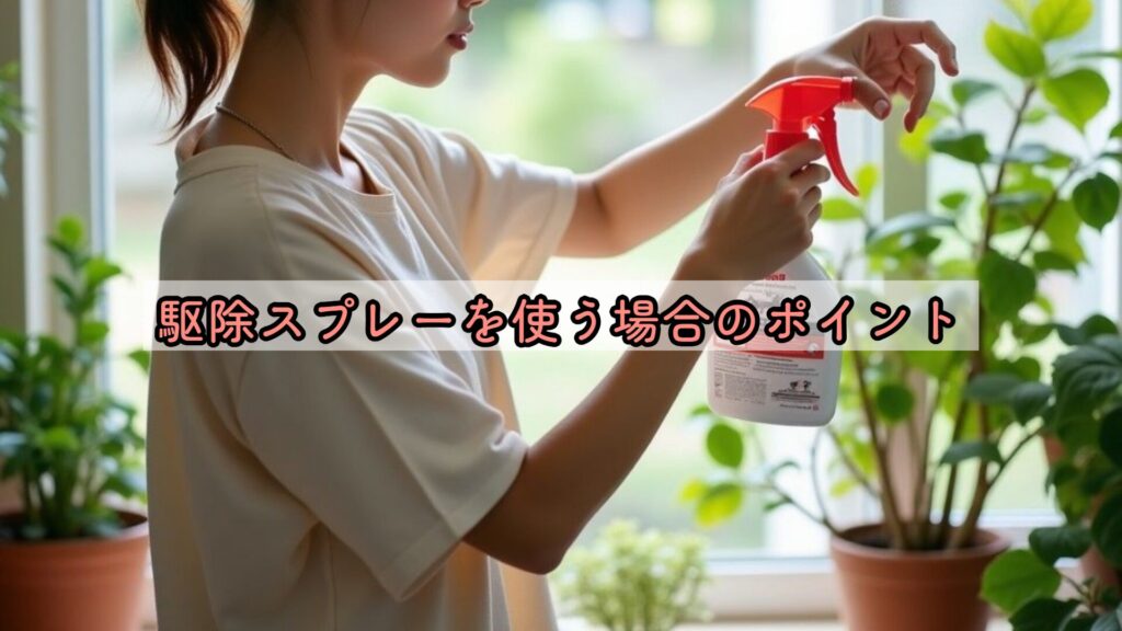 駆除スプレーを使う場合のポイント