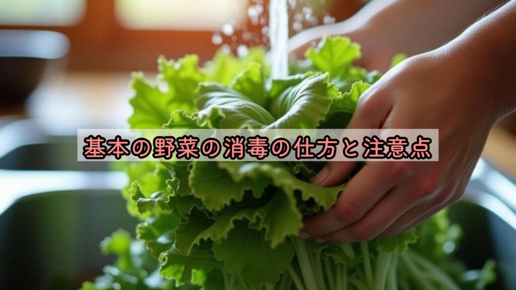 基本の野菜の消毒の仕方と注意点