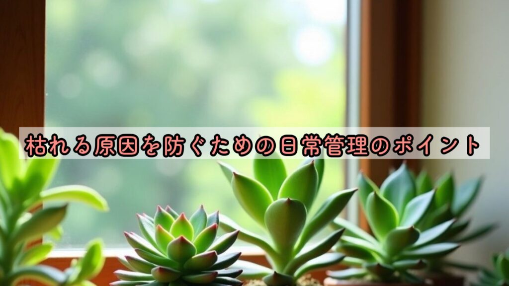 枯れる原因を防ぐための日常管理のポイント