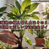 観葉植物の植え替え土はそのまま?再利用と正しい方法完全ガイド