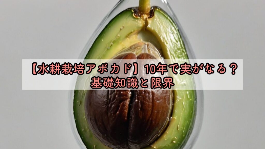 【水耕栽培アボカド】10年で実がなる？基礎知識と限界