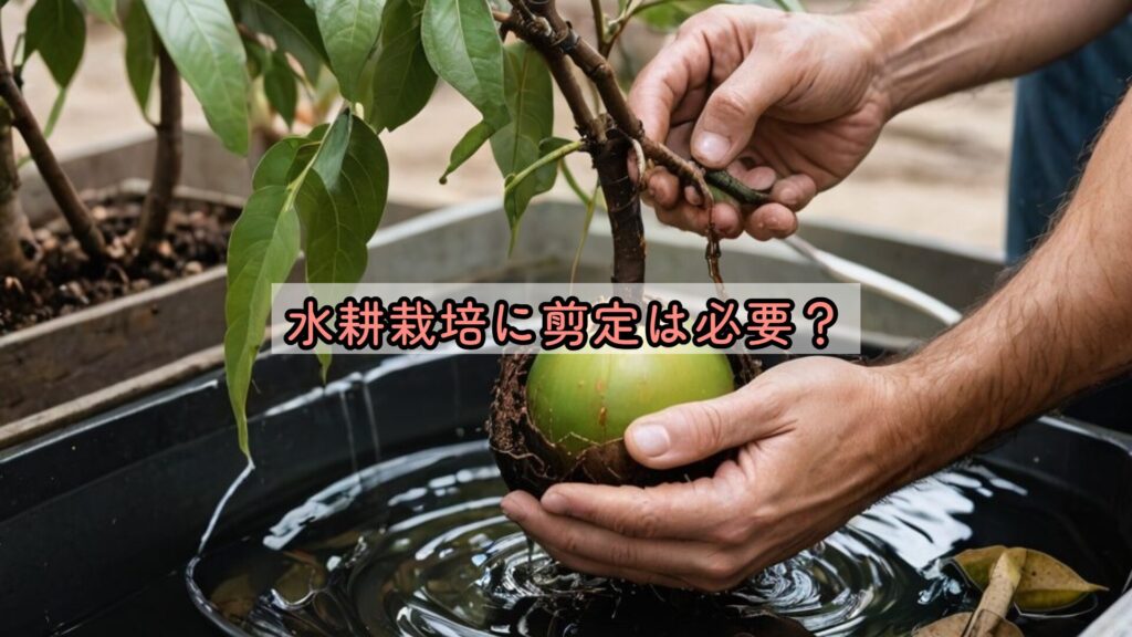 水耕栽培に剪定は必要？