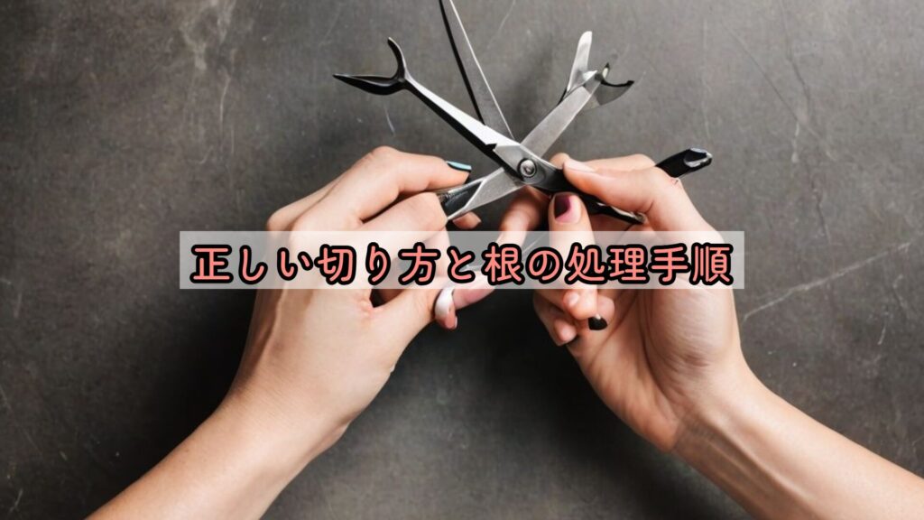 正しい切り方と根の処理手順