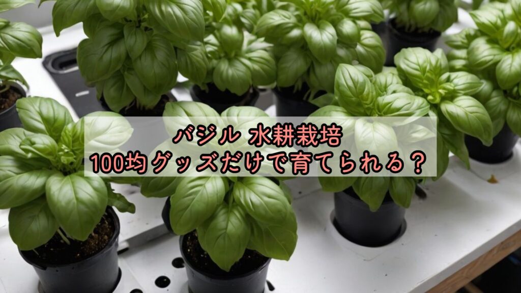 バジル 水耕栽培 100均グッズだけで育てられる?
